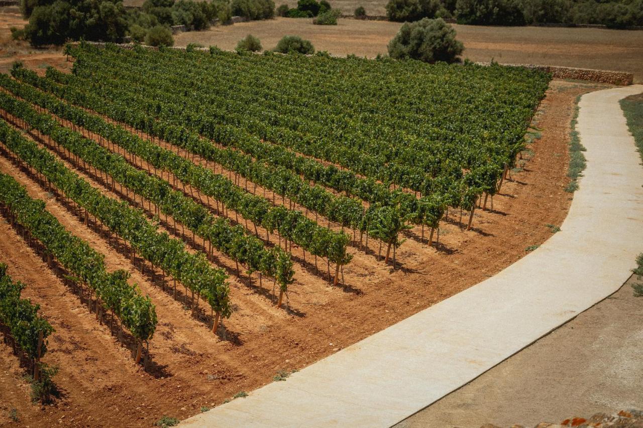 Finca Gomera By Itinerem - Adults Only Llucmajor (Mallorca) Eksteriør billede